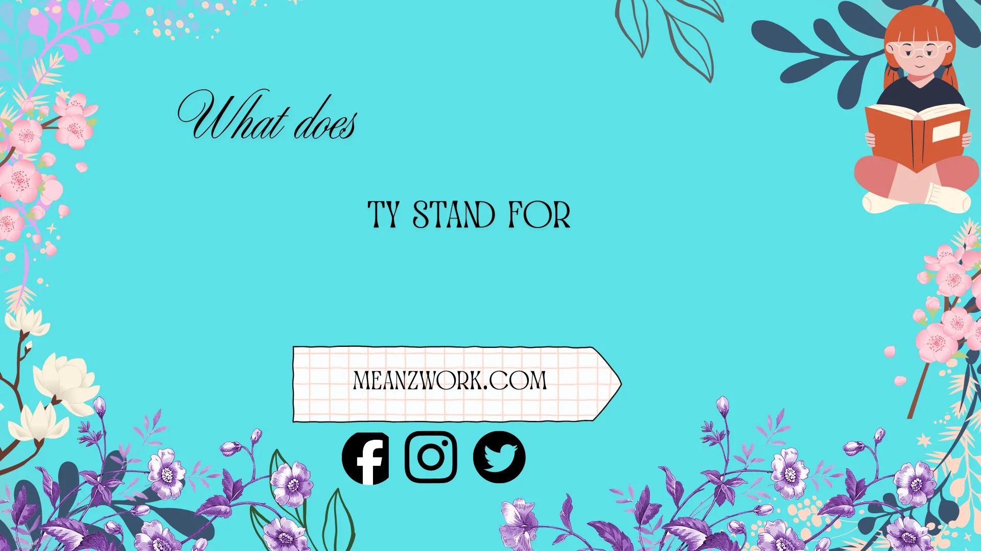 what does ty stand for