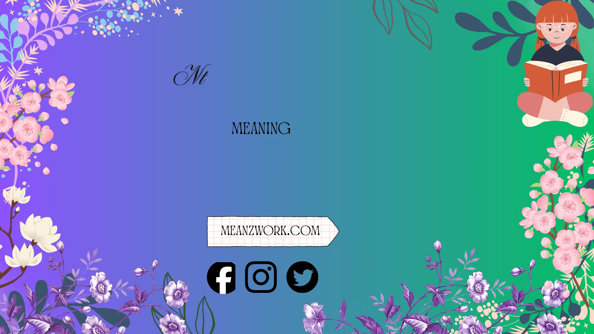 NT meaning