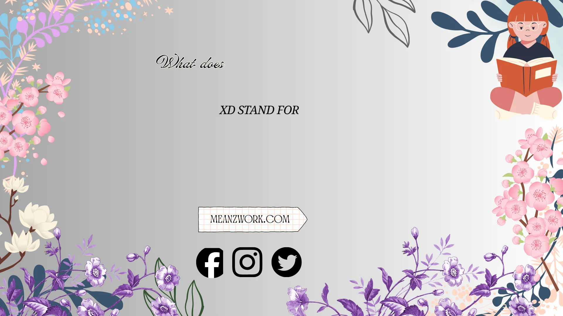what does xd stand for