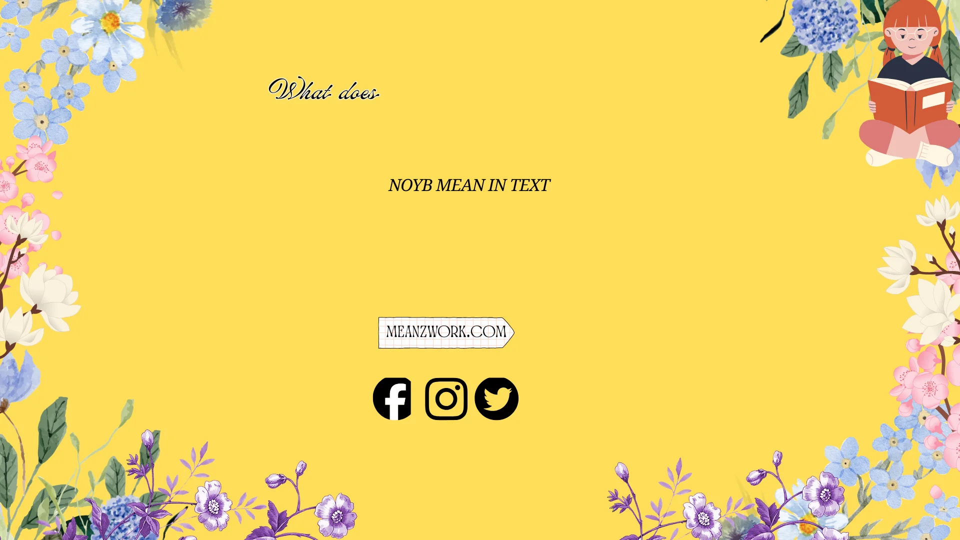 "what does noyb mean in text"